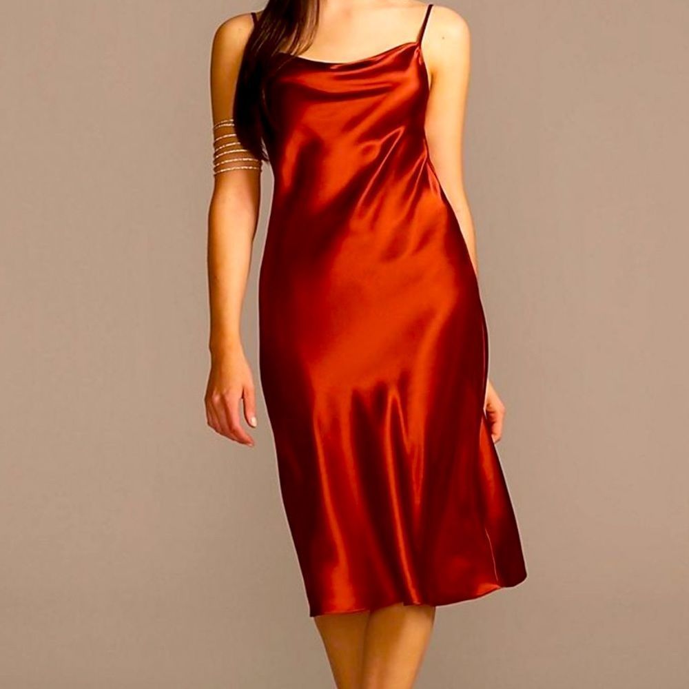 David’s Bridal Silk Dress